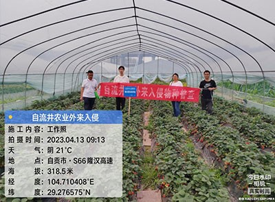 外来入侵物种普查