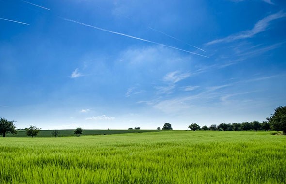 2023年四川省委一号文件：中共四川省委 四川省人民政府关于做好2023年乡村振兴重点工作 加快推进农业强省建设的意见