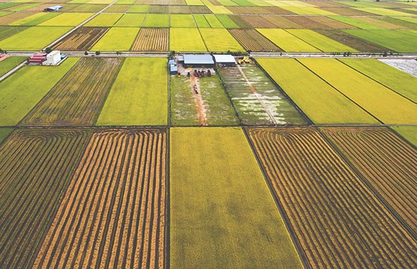 2023年中央一号文件：中共中央 国务院关于做好2023年全面推进乡村振兴重点工作的意见