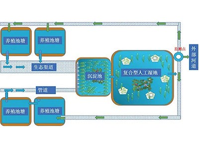 复合型人工湿地（异位净化模式）